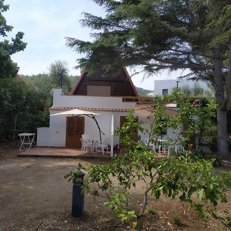 Appartement Villino Del Duca à Peschici Extérieur photo